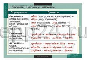 Комплект таблиц для старшей школы по русскому языку 11 кл. (16 шт.)