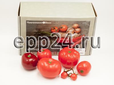 Набор муляжей Дикая форма и культурные сорта томатов