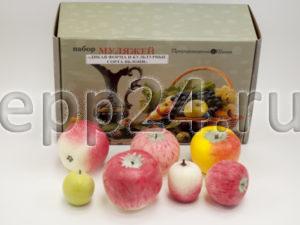Набор муляжей Дикая форма и культурные сорта яблок