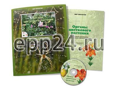 CD Органы цветкового растения