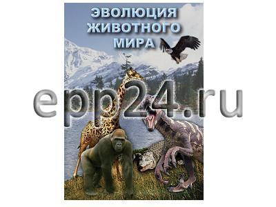 DVD Эволюция животного мира